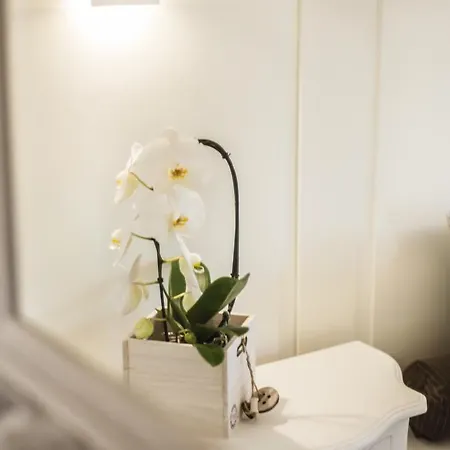 Guest house Riviera Carducci Peschiera del Garda